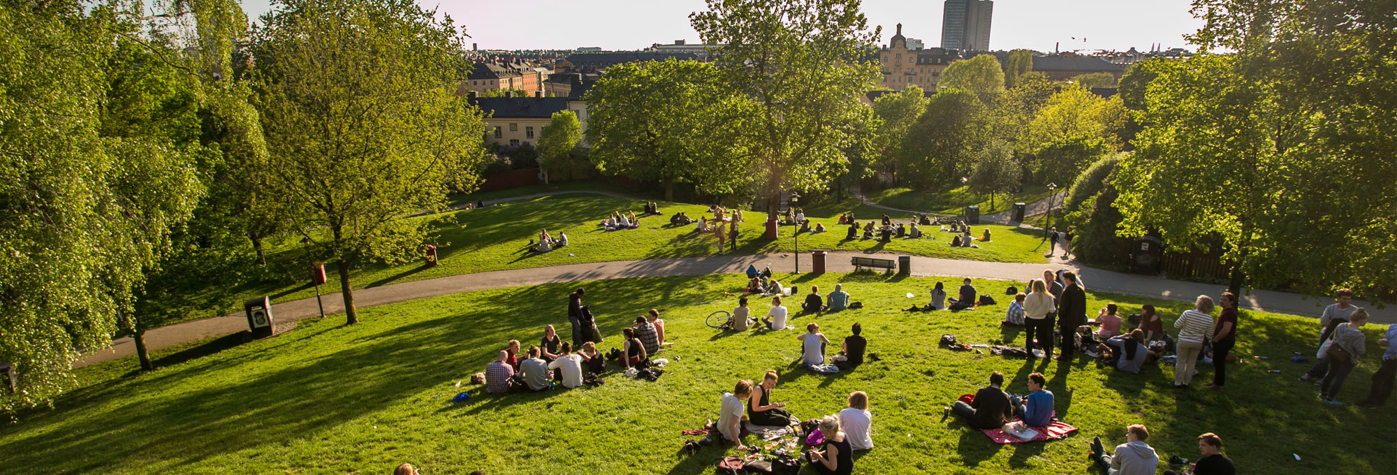 Separate groups of people enjoying picnics in a city park