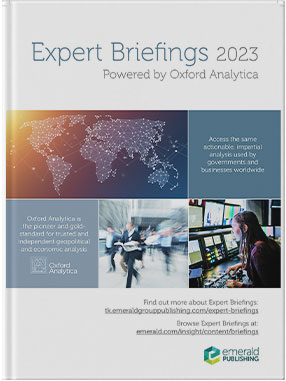 Expert Briefings product brochure thumbnail