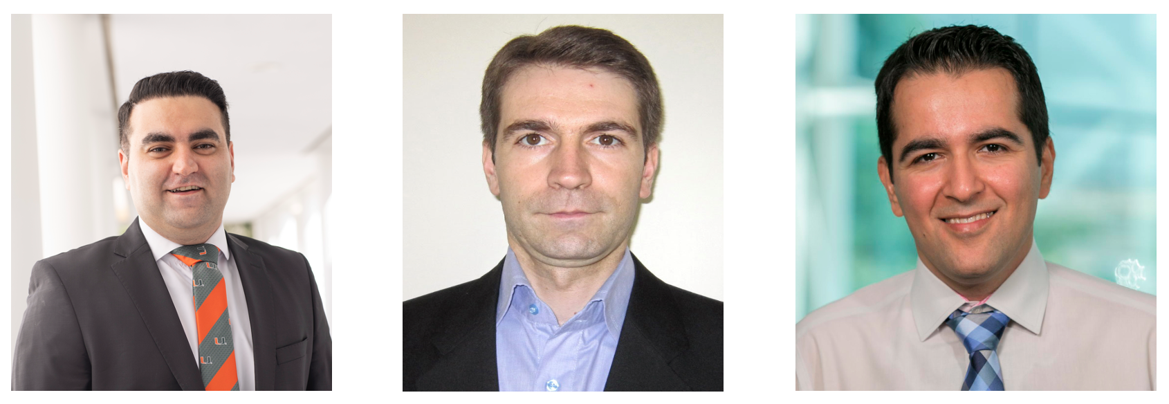 From Left: Nima Khodadadi, Siamak Talatahari, Amirhossin Gandomi
