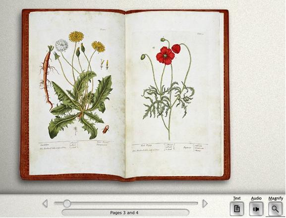 Screenshot of BL's Turning the Pages function